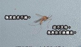 抖阴抖掉不嗨心的秘诀，轻松找到快乐的自己