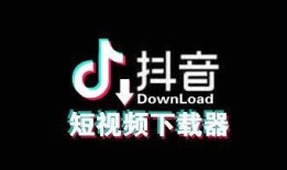 抖音视频下载技巧：轻松获取热门视频的方法分享